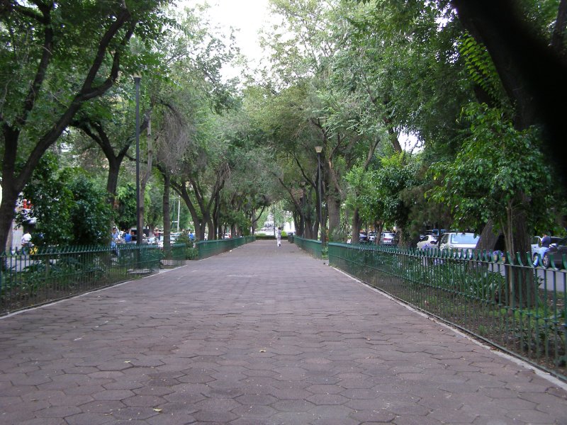 The center walk on  Calle Durango, Col. Roma Norte