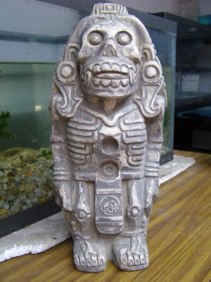 the Aztec god Xolotl, father of the Ajolote