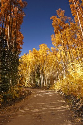 Aspen Road 4