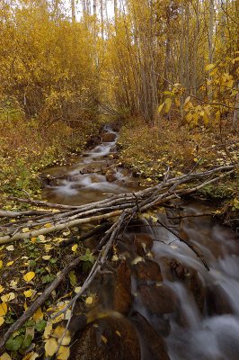 Stream 1