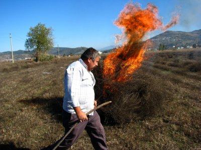 fieldfire2.jpg