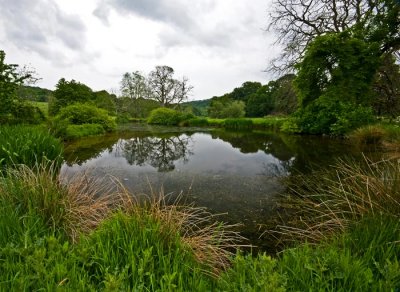 11_June_2008<br>Ornamental Pond