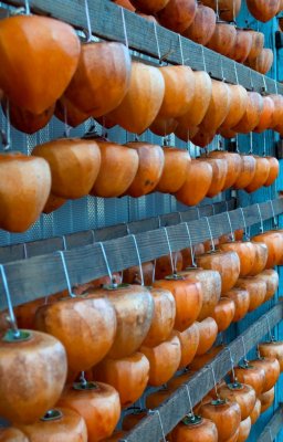 Persimmons drying
