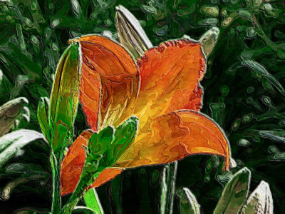Day Lily No. 8