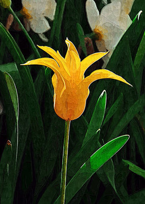 Yellow Tulip Impasto
