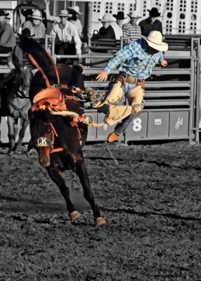 Cowboys Can Fly