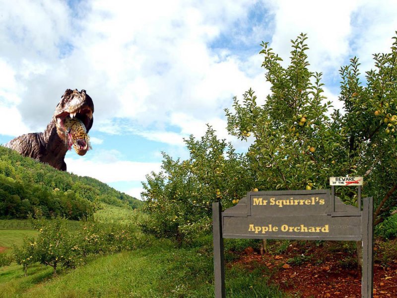 edible-leapord.jpg