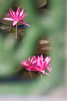 IMG_1984.jpg