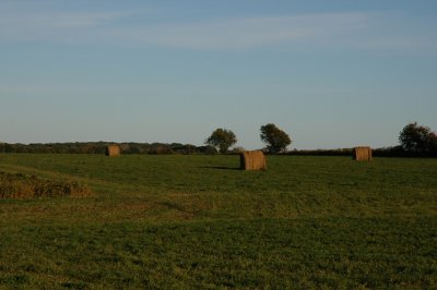 hay bales.jpg