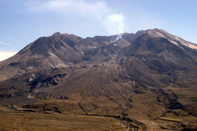 PICT3658_1.jpg