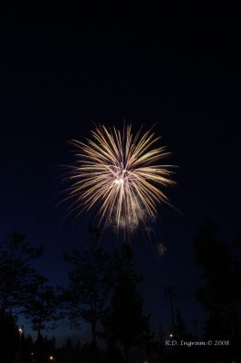 IMG_8222.jpg
