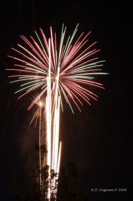 IMG_8256.jpg