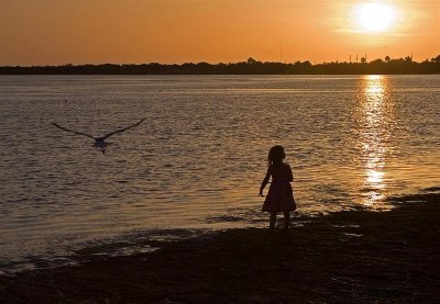 Dunedin Causeway