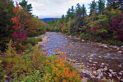 Pinkham Notch 2