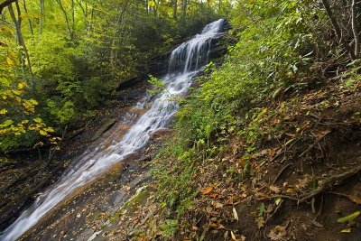  The Cascades