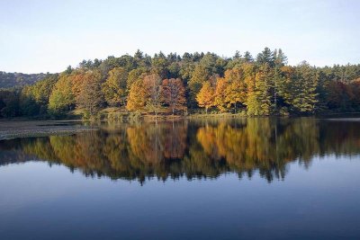 Bass Lake