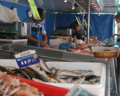 Fishy Tail