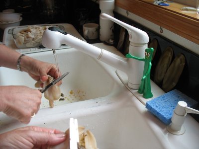 supervising the clam cleaners