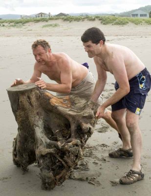 Stump wrestling