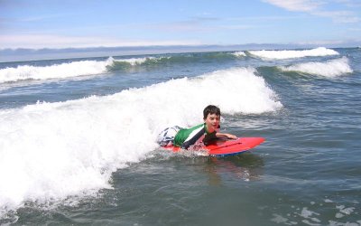 teddy: too tough to wear a wet suit