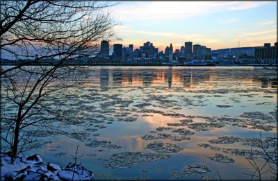 Entre chiens et loups-  Montral, QC