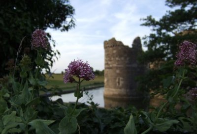 Beaumaris Castle