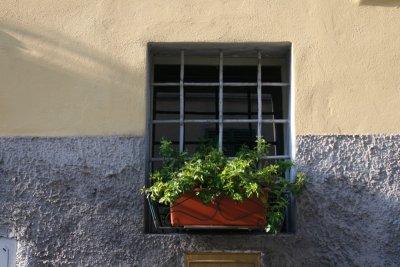_MG_6056 window garden