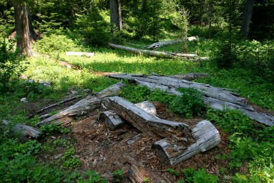 Possible Remains Of One Of A. L. Cool's Trapper Cabins