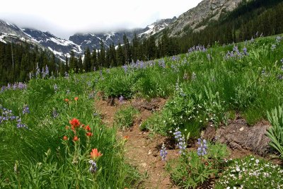  Backpacking Entiat's  Upper Valley  To Entiat Headwaters And Glacier