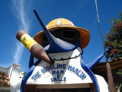 The Giggling Marlin ( Cabo Night Spot )
