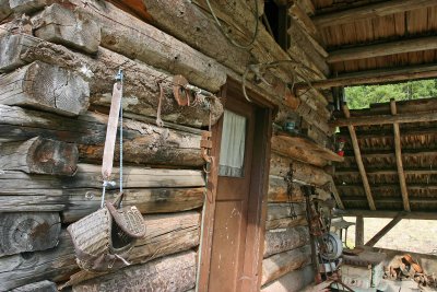 Old 1890's   Maxwell Cabin  In Stehekin Valley