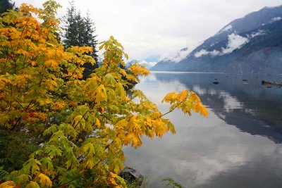 Fall Colors Along Lake Chelan's Upper End