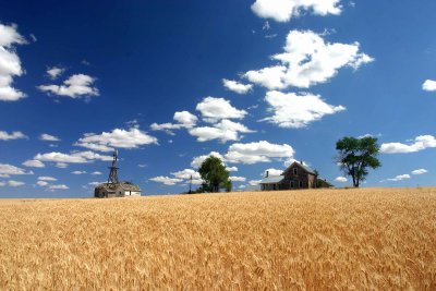 Wheat Country Of Douglas County,,
