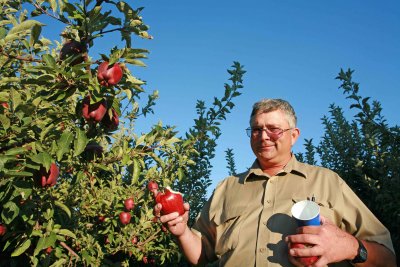  Terry With Some Of His Red  Apples In His Orchard