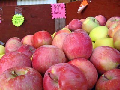  Fresh Apples In Bin