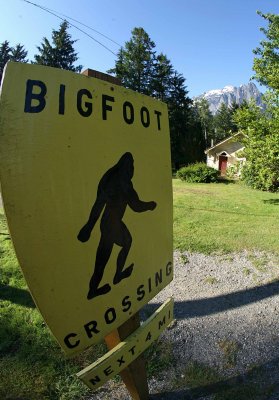 Mt. Index In Background With Local  Bigfoot Crossing  Sign