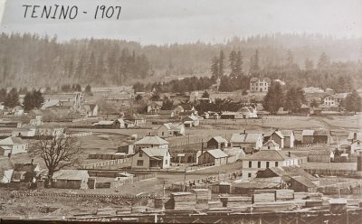  Tenino 1907 View