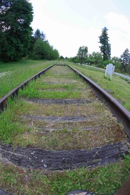 Last Remains Of   Praire Line  From Tenino To Tacoma