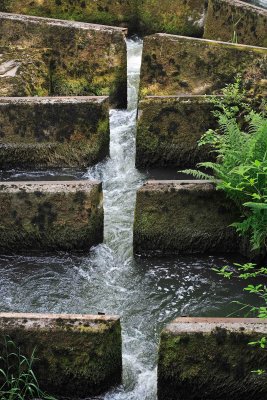 Old  Salmon Fish Ladder  ( Dechutes River ,Tumwater )