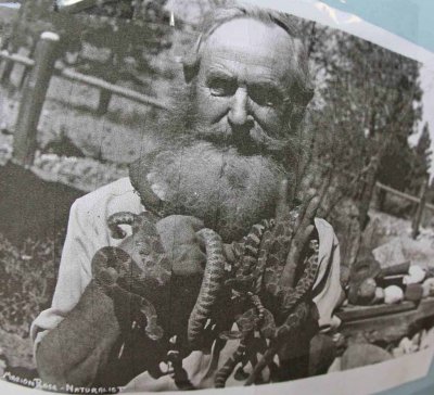 Alta Lake's WIld Man Marion Rose