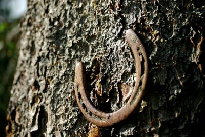 Old Horseshoe On Tree For Luck!!