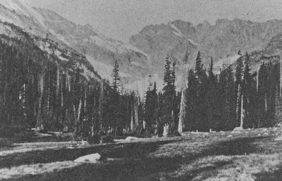 Entiat Meadows ,Shot By A.L. Cool , 1910