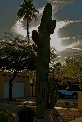 phoenix_arizona