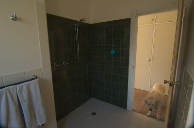 Shower area