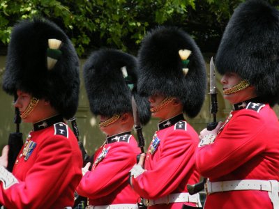 Welsh Guards: Change Arms