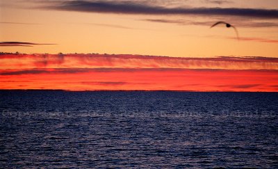 Lake Huron Sunrise.jpg