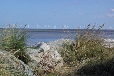 wind turbines just out from Gt Yarmouth