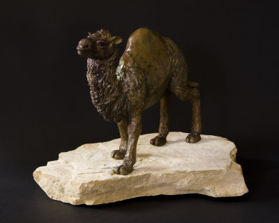 Camel 1.jpg