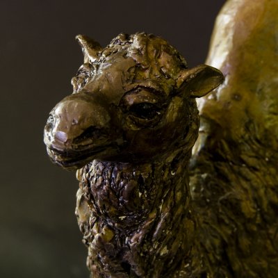 Camel 2.jpg