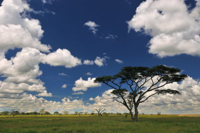 Tanzania 0439.jpg
